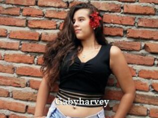 Gabyharvey