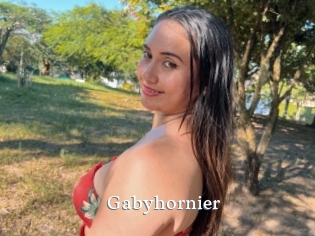 Gabyhornier