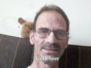 Geilebeer