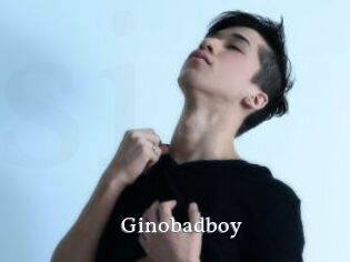 Ginobadboy