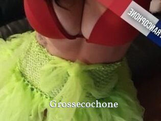 Grossecochone