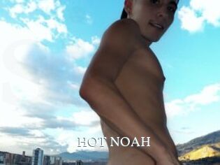 HOT_NOAH