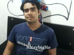 HairybigHo