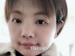 Haringo