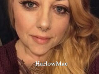 Harlow_Mae