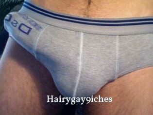 Hairygay9iches