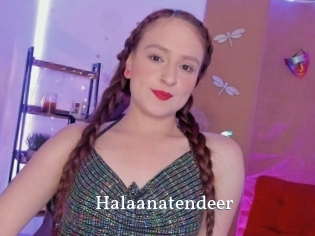 Halaanatendeer