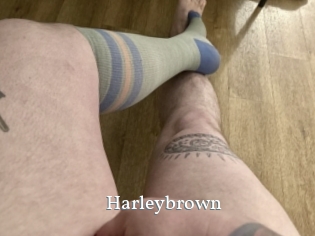 Harleybrown