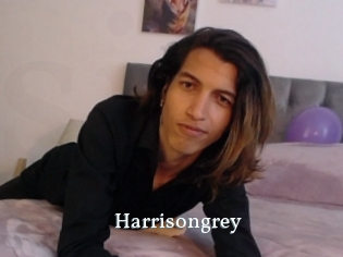 Harrisongrey