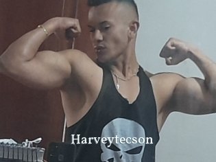 Harveytecson