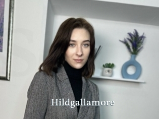 Hildgallamore