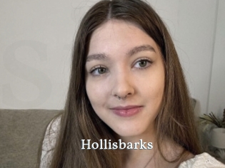 Hollisbarks