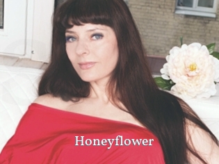 Honeyflower