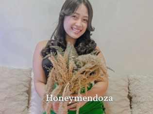 Honeymendoza