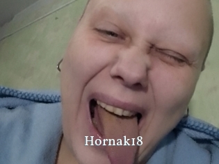 Hornak18