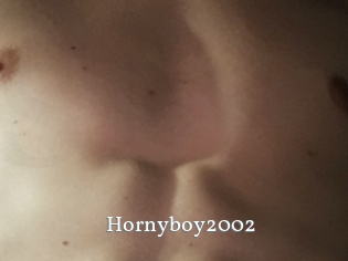 Hornyboy2002