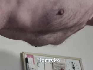 Hornyke