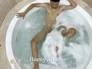 Hornywildboy