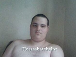 Horsesbatchelor