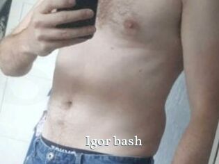 Igor_bash