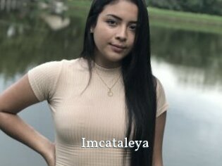 Imcataleya