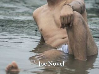 Joe_Novel