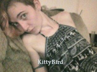 KittyBird