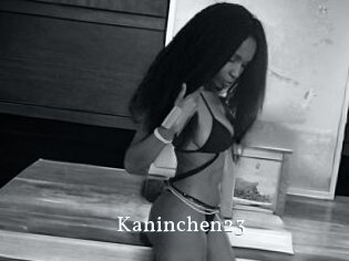 Kaninchen23