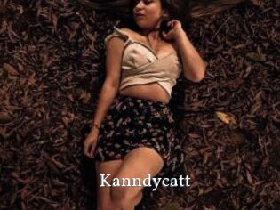 Kanndycatt