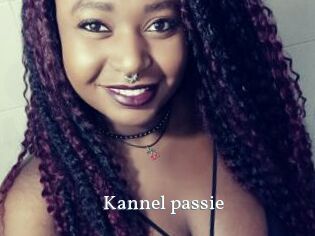 Kannel_passie