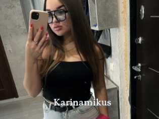 Karinamikus