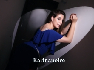 Karinanoire