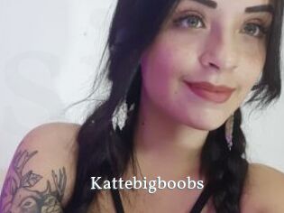 Kattebigboobs