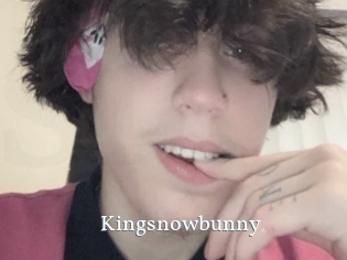 Kingsnowbunny