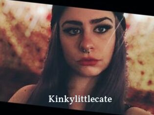 Kinkylittlecate