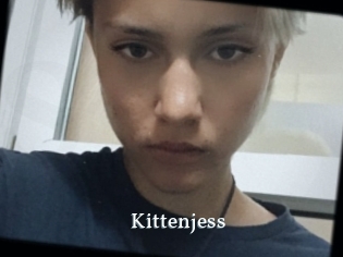 Kittenjess