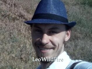 LeoWildFire