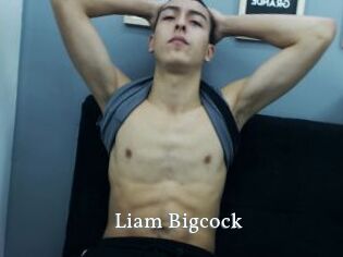 Liam_Bigcock