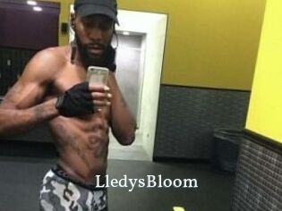 Lledys_Bloom