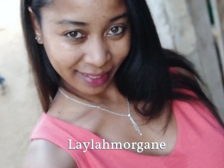 Laylahmorgane