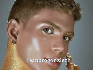 Leandrogonzlezh