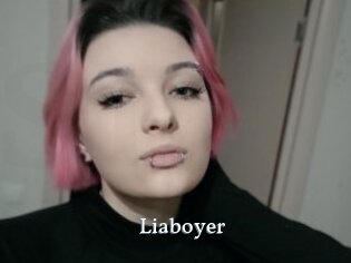 Liaboyer