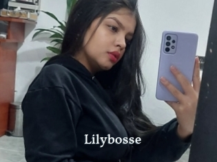 Lilybosse