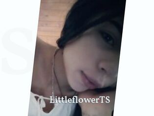 LittleflowerTS