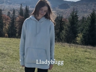 Lladybugg