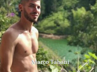 Marco_Tahani