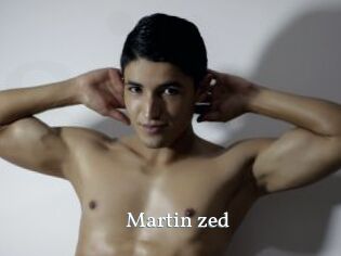 Martin_zed