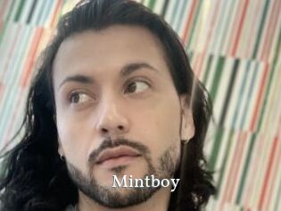 Mintboy