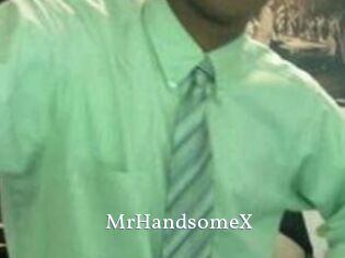 MrHandsomeX