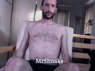 MrShnake